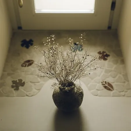 Bed & Breakfast Casastella